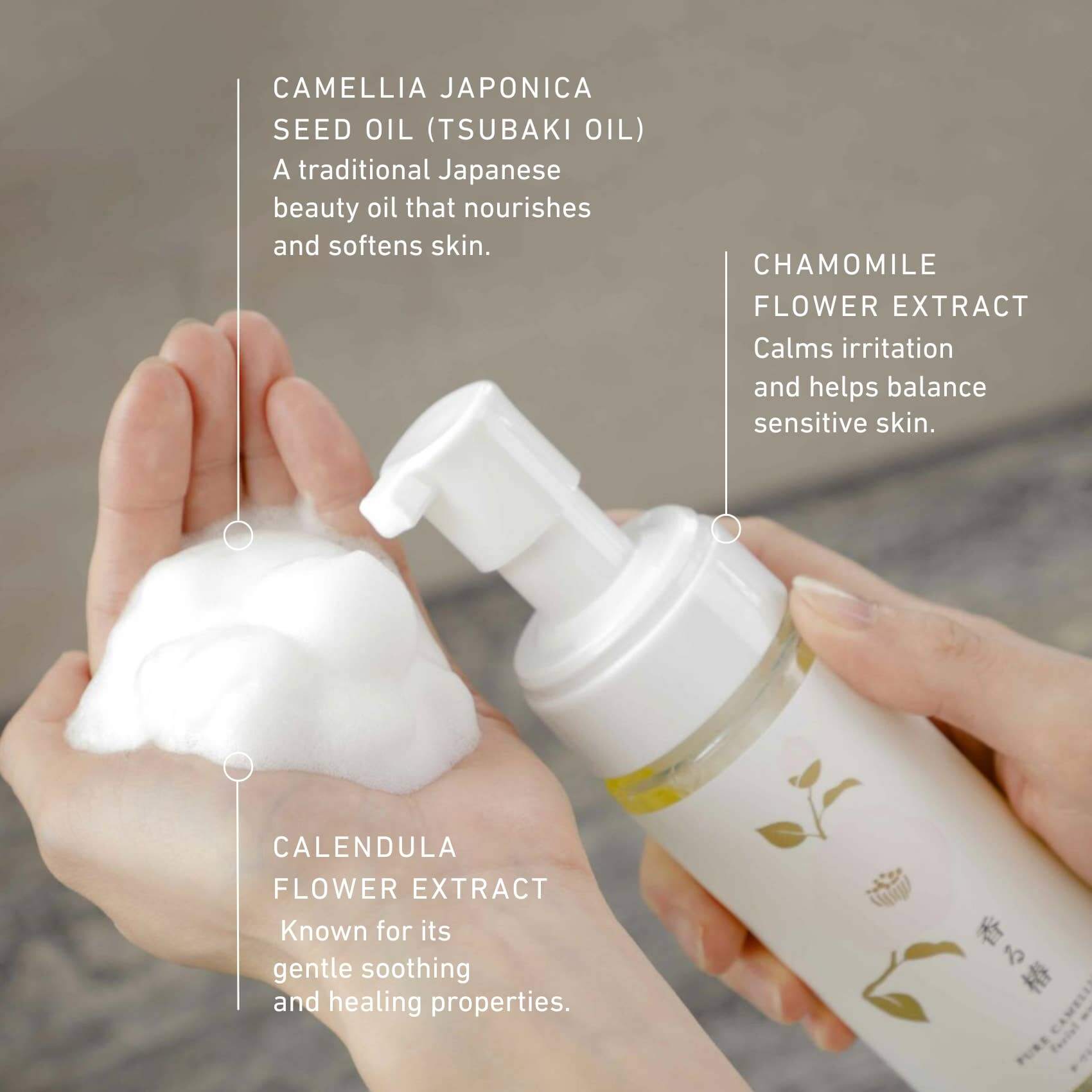 Camellia Foam Cleanser