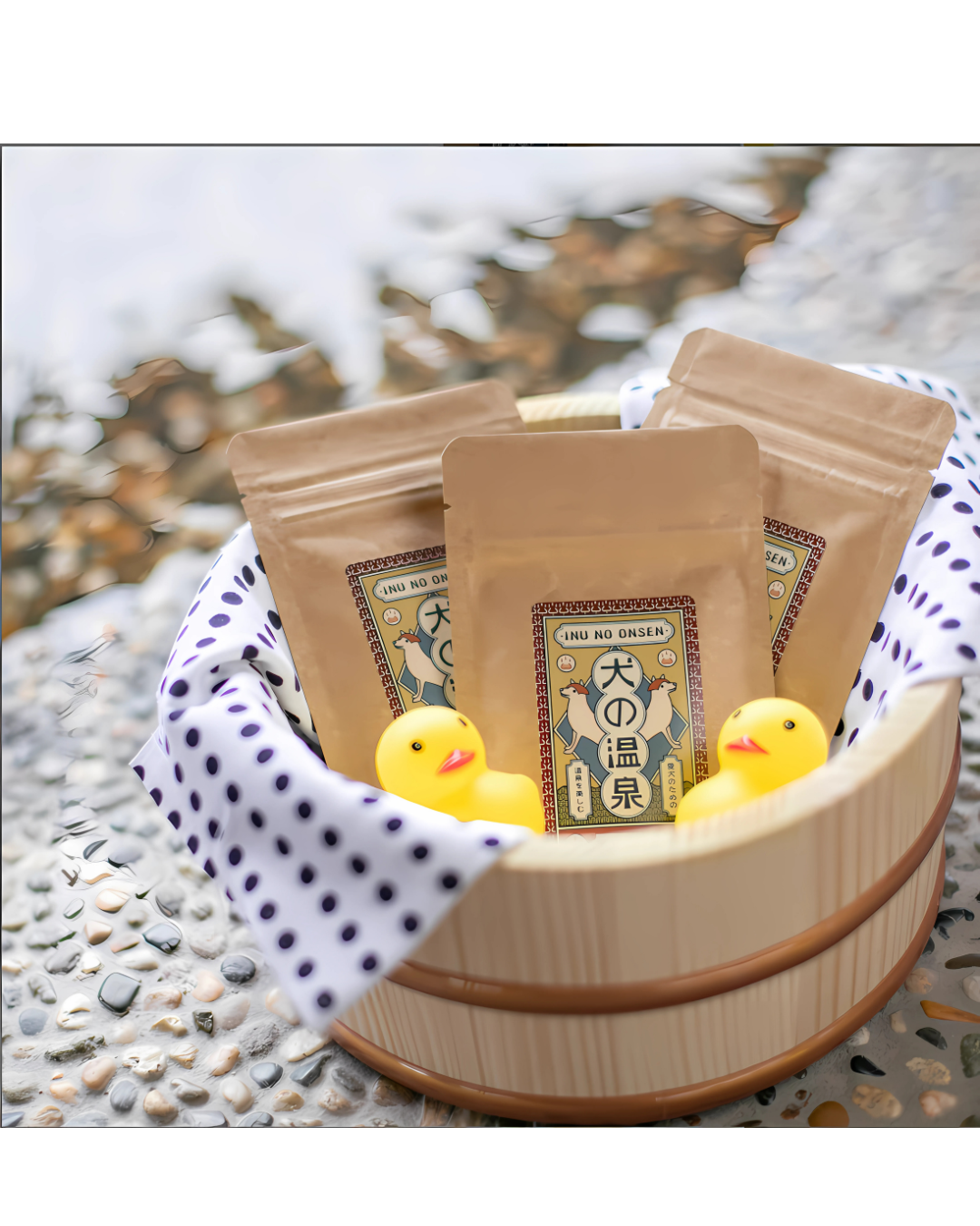 Pet Onsen Treatment