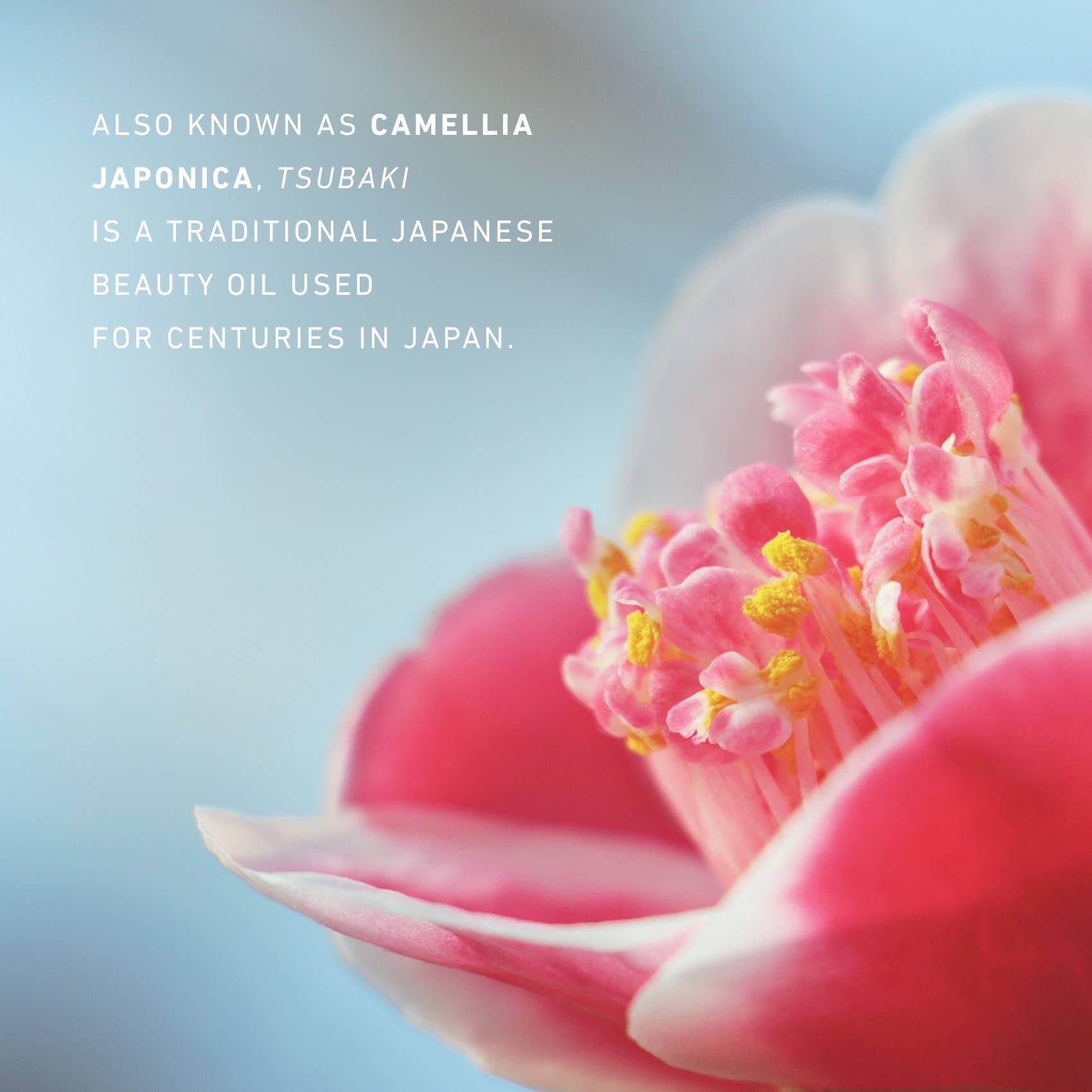 Camellia Toner Mist