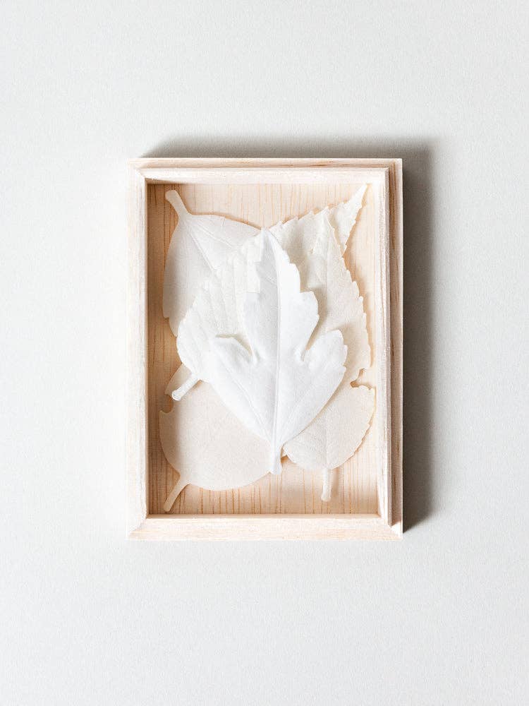 HA KO Paper Incense leaves in a decorative wooden box, perfect for gifting and enhancing ambiance.